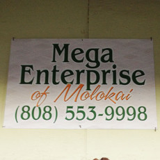 mega-enterprise.jpg