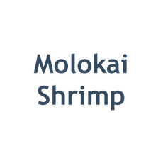 molokai-shrimp.jpg