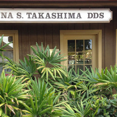 Dana Takashima, DDS