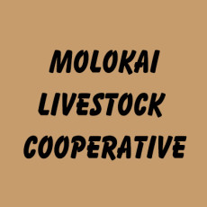 Molokai-Livestock.jpg