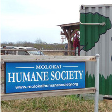 Humane Society Sign