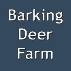barking-deer-farm.jpg