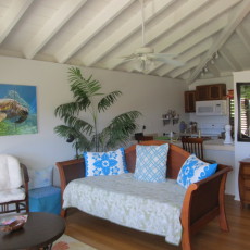Tropical themed open living/dining area